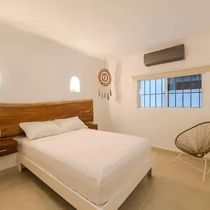 https://hotel-caracol-puerto.allrivieramayahotels.com