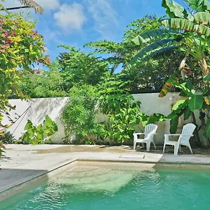 https://hostel-humanity.allrivieramayahotels.com